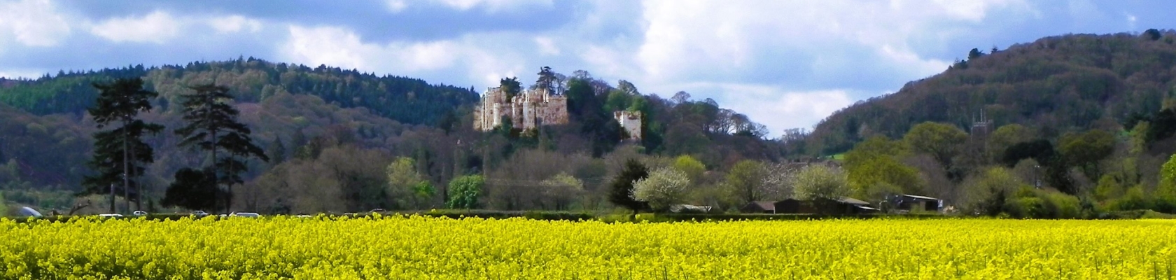 6. Dunster Castle from Flood Relief Channel (2)