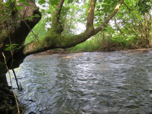 1-Downstream-from-Perry-New-Bridge-1