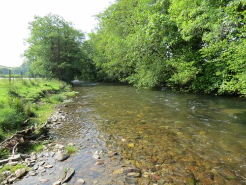 1-Downstream-from-Perry-New-Bridge-11