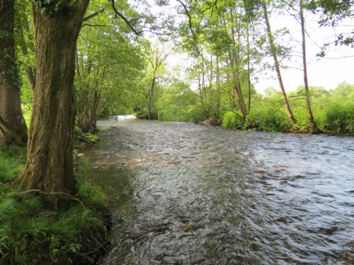 1-Downstream-from-Perry-New-Bridge-14