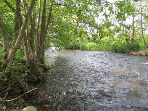 1-Downstream-from-Perry-New-Bridge-16