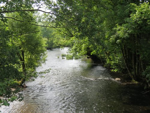1-Downstream-from-Perry-New-Bridge-17