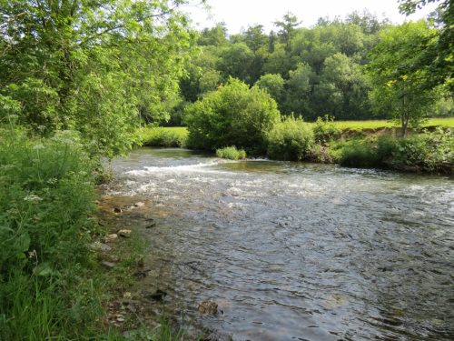 1-Downstream-from-Perry-New-Bridge-19