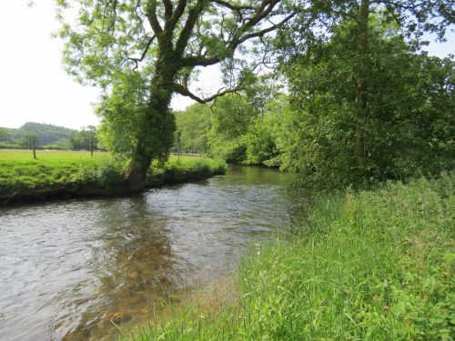 1-Downstream-from-Perry-New-Bridge-20