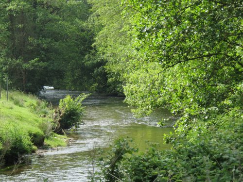 1-Downstream-from-Perry-New-Bridge-21