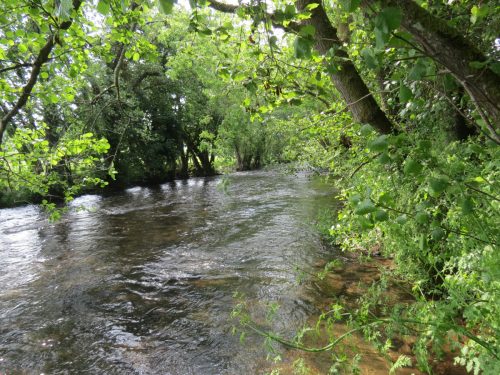 1-Downstream-from-Perry-New-Bridge-22