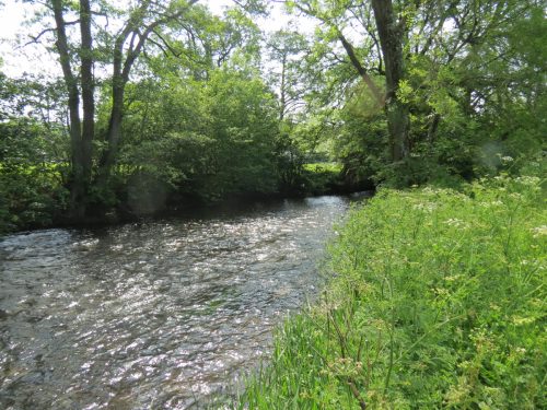 1-Downstream-from-Perry-New-Bridge-23