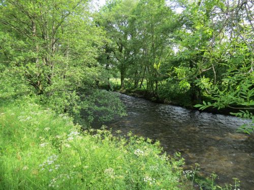 1-Downstream-from-Perry-New-Bridge-24