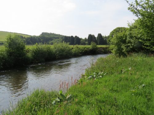 1-Downstream-from-Perry-New-Bridge-25
