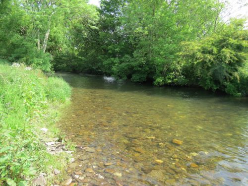 1-Downstream-from-Perry-New-Bridge-26