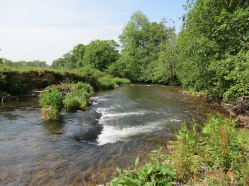 1-Downstream-from-Perry-New-Bridge-27
