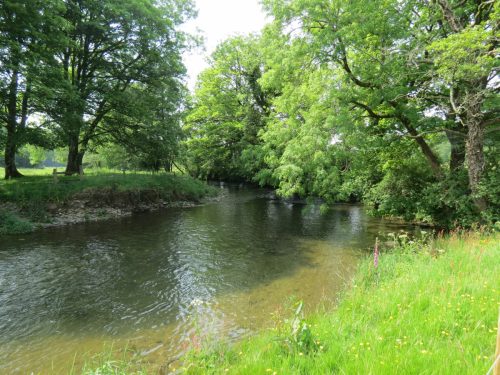 1-Downstream-from-Perry-New-Bridge-29