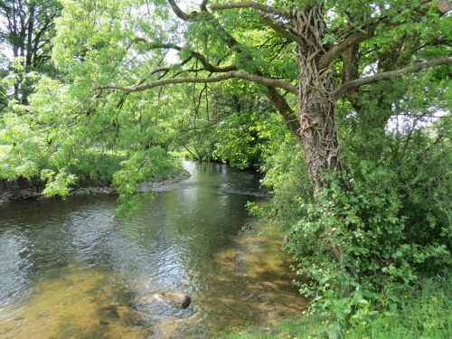 1-Downstream-from-Perry-New-Bridge-30