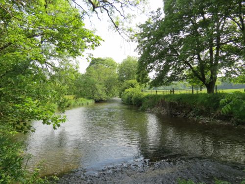 1-Downstream-from-Perry-New-Bridge-31