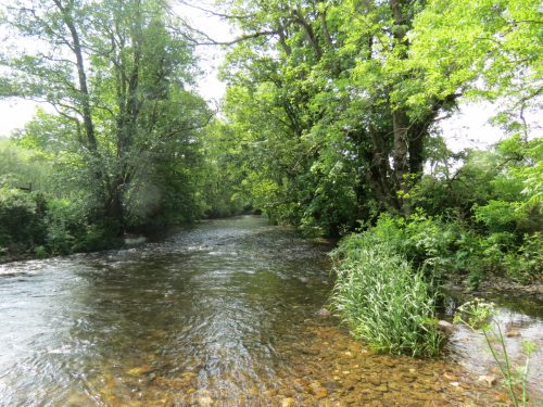 1-Downstream-from-Perry-New-Bridge-34