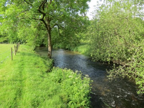 1-Downstream-from-Perry-New-Bridge-6
