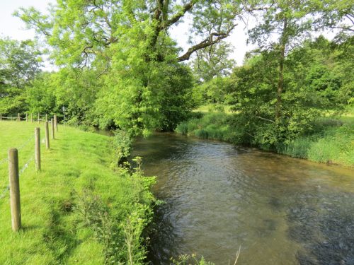 1-Downstream-from-Perry-New-Bridge-8