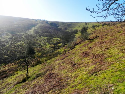 1.-Bagley-Combe-Headwater-2