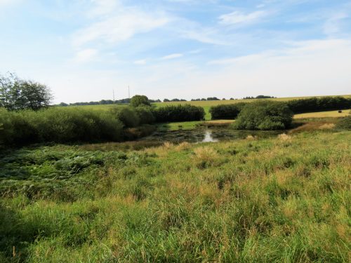 1.-Beverton-Pond-2