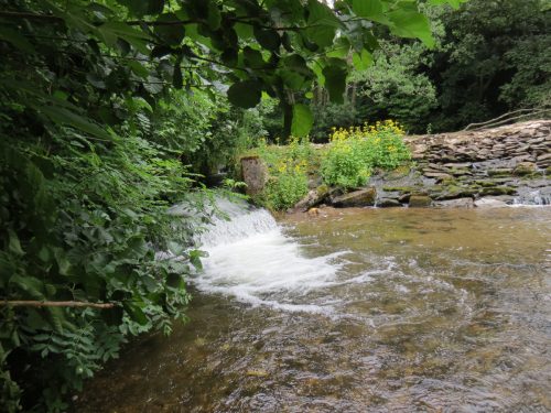 1.-Bridgetown-Mill-Weir-2