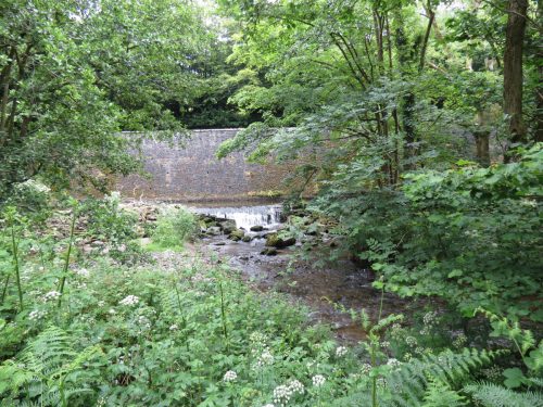 1.-Bridgetown-Mill-Weir-8