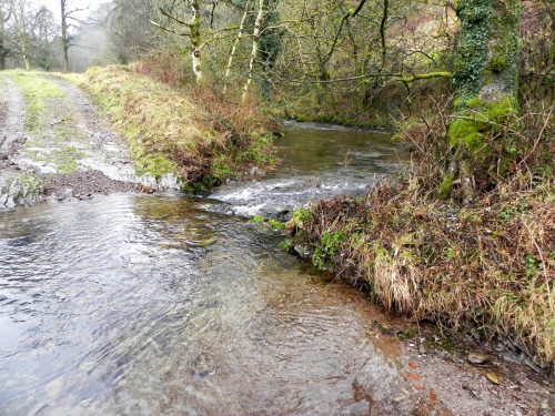 1.-Chalk-Water-joins-with-Weir-Water-2