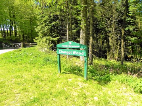 1.-Chargot-Woods-2