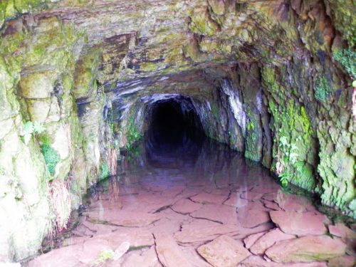 1.-Chargot-Woods-West-headwater-adit-sourc-4