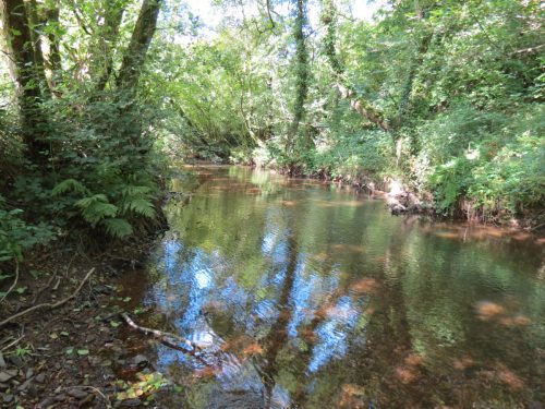 1.-Down-stream-from-Tucks-Bridge