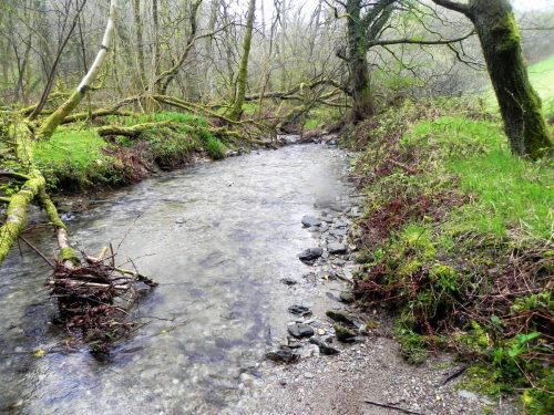 1.-Downstream-from-A39-Culvert-2