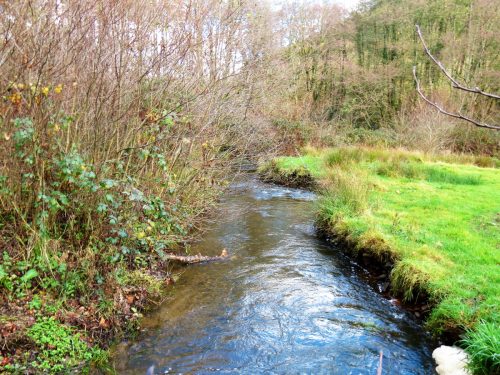 1.-Downstream-from-Church-Bridge-4