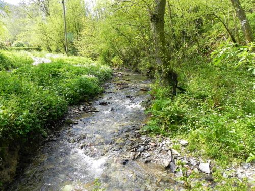 1.-Downstream-from-Comberow-6