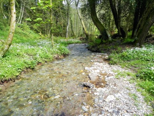 1.-Downstream-from-Comberow-7