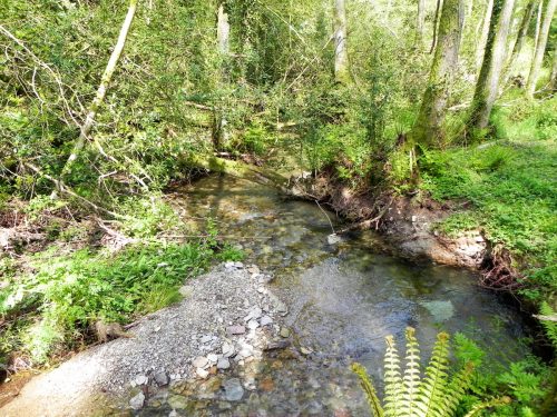 1.-Downstream-from-Comberow-8