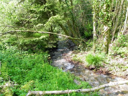 1.-Downstream-from-Comberow-9