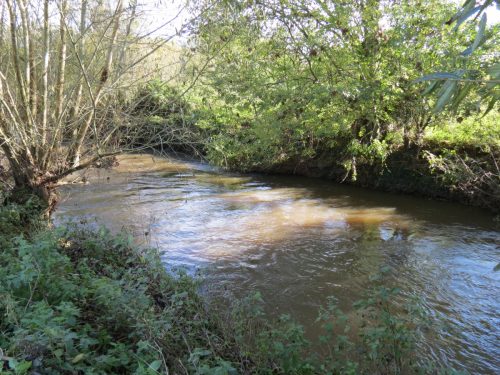1.-Downstream-from-Hele-Bridge-1