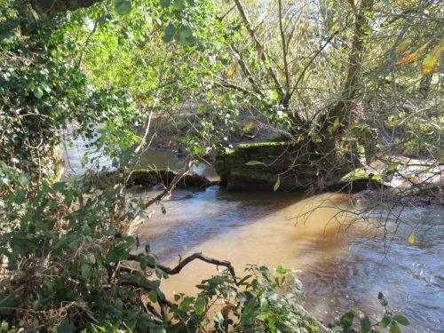 1.-Downstream-from-Hele-Bridge-4