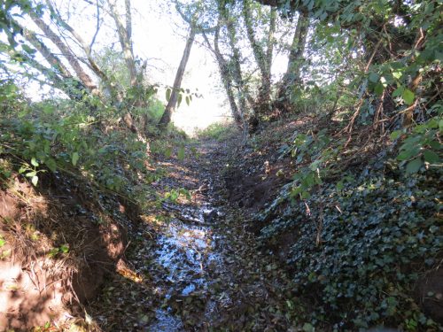 1.-Downstream-from-Hele-Bridge-6