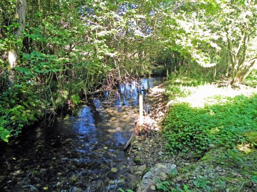 1.-Downstream-from-Huish-Bridge-2