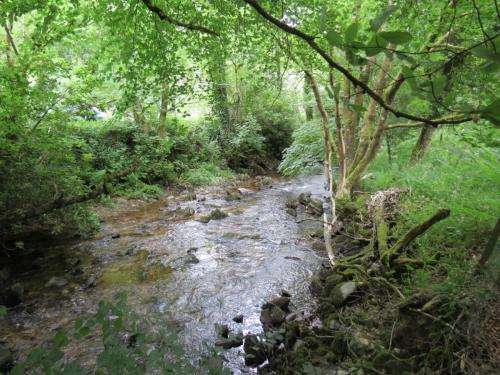 1.-Downstream-from-Larcombe-Foot-1