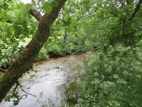 1.-Downstream-from-Larcombe-Foot-10