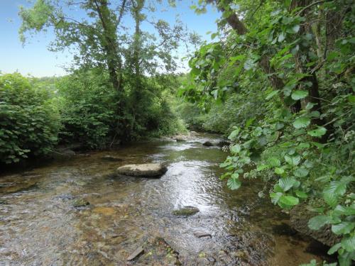 1.-Downstream-from-Larcombe-Foot-11