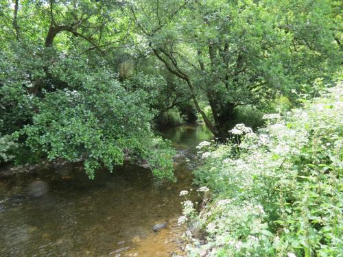 1.-Downstream-from-Larcombe-Foot-14