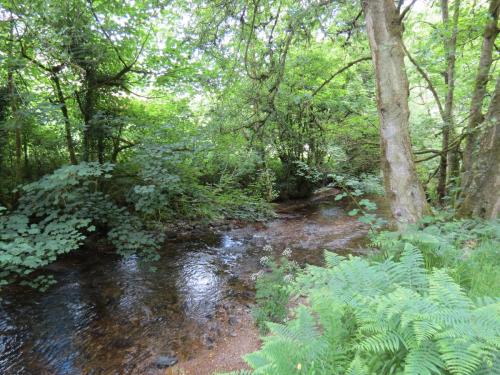 1.-Downstream-from-Larcombe-Foot-16