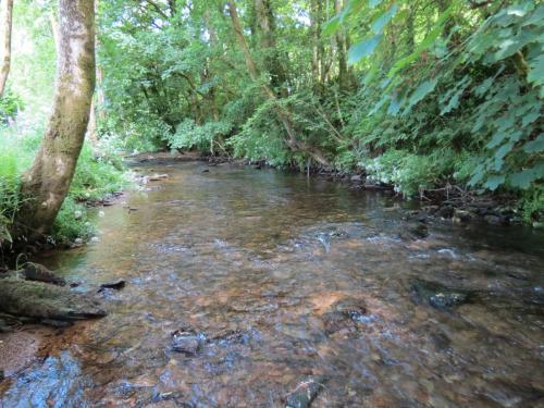 1.-Downstream-from-Larcombe-Foot-19