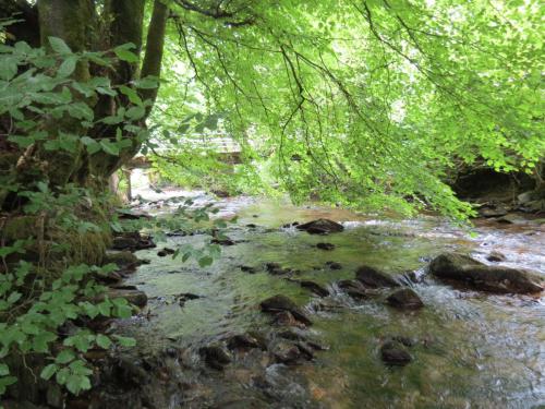 1.-Downstream-from-Larcombe-Foot-2