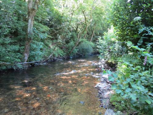 1.-Downstream-from-Larcombe-Foot-21