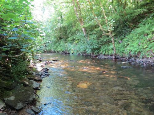 1.-Downstream-from-Larcombe-Foot-23