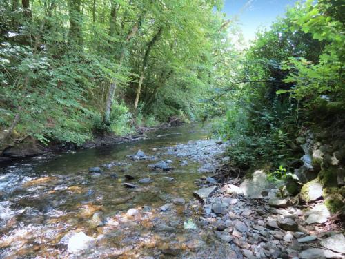 1.-Downstream-from-Larcombe-Foot-24