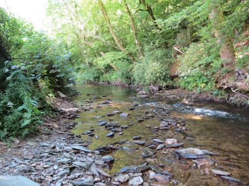 1.-Downstream-from-Larcombe-Foot-26
